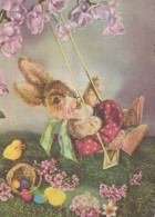 PASQUA CONIGLIO Vintage Cartolina CPSM #PBO373.IT - Ostern