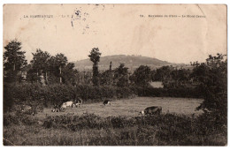 CPA 61 - Environs De FLERS (Orne) - 51. Le Mont Cerisy (troupeau De Vaches) - Other & Unclassified
