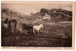 CPA Campagne Du MAROC - TASSENT. 18. Les Premiers Froids (chevaux, Octobre 1932) - Autres & Non Classés