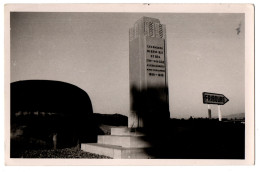 CPh ALLEMAGNE - Breisach Am Rhein - Monument Aux Anciens Du 28e R.I.F. - Deutschland - Breisach