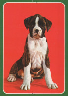 PERRO Animales Vintage Tarjeta Postal CPSM #PAN632.ES - Dogs