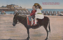 ESEL Tiere Kinder Vintage Antik Alt CPA Ansichtskarte Postkarte #PAA001.DE - Donkeys