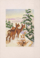 HIRSCH Tier Vintage Ansichtskarte Postkarte CPSM #PBS547.DE - Other & Unclassified