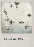 VOGEL Tier Vintage Ansichtskarte Postkarte CPSM #PBR385.DE - Birds