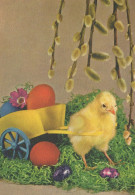 OSTERN HUHN EI Vintage Ansichtskarte Postkarte CPSM #PBP064.DE - Ostern