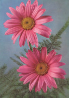 FLEURS Vintage Carte Postale CPSM #PAR329.FR - Flowers