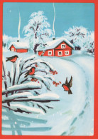 OISEAU Animaux Vintage Carte Postale CPSM Unposted #PAM882.FR - Birds