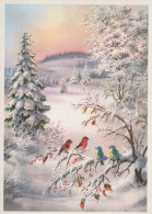 OISEAU Animaux Vintage Carte Postale CPSM #PAM819.FR - Birds