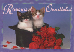 CHAT CHAT Animaux Vintage Carte Postale CPSM #PAM565.FR - Chats