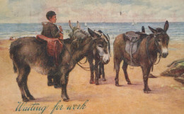 BURRO Animales Niños Vintage Antiguo CPA Tarjeta Postal #PAA337.ES - Donkeys