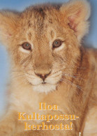 LEÓN Animales Vintage Tarjeta Postal CPSM #PBS046.ES - Lions