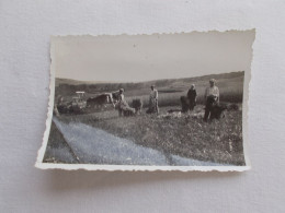 PHOTO ANCIENNE ANTIQUE FOTO SNAPSHOT MOISSON TRAVAUX DES CHAMPS MONTREUILLOIS MONTREUIL VINTAGE - Profesiones