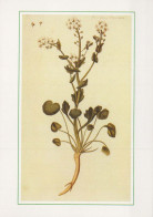 FLOWERS Vintage Postcard CPSM #PAR387.GB - Blumen