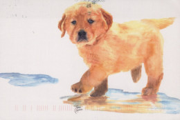 DOG Animals Vintage Postcard CPSM #PAN565.GB - Honden