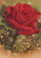 FLEURS Vintage Carte Postale CPSM #PBZ457.FR - Flowers
