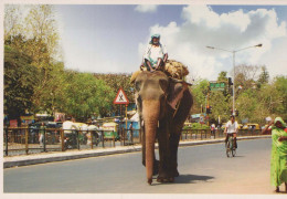 ÉLÉPHANT Animaux Vintage Carte Postale CPSM #PBS742.FR - Elefanti
