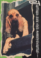 CHIEN Animaux Vintage Carte Postale CPSM #PBQ393.FR - Chiens