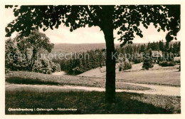 72632130 Oberbaerenburg Foersterwiese Altenberg - Altenberg