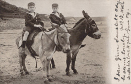 DONKEY Animals Children Vintage Antique Old CPA Postcard #PAA076.GB - Donkeys