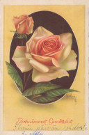 FLOWERS Vintage Postcard CPSMPF #PKG113.GB - Fleurs