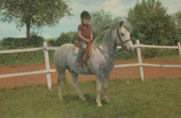 HORSE Animals Vintage Postcard CPA #PKE880.GB - Paarden