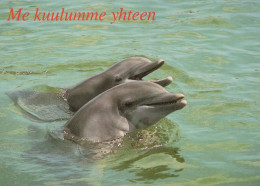 Dolphins Animals Vintage Postcard CPSM #PBS668.GB - Delfines
