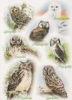 BIRD Animals Vintage Postcard CPSM #PBR696.GB - Birds