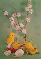EASTER CHICKEN EGG Vintage Postcard CPSM #PBO806.GB - Pâques