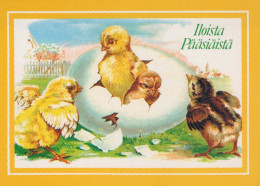 EASTER CHICKEN EGG Vintage Postcard CPSM #PBO933.GB - Pâques