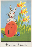 EASTER RABBIT EGG Vintage Postcard CPSM #PBO430.GB - Easter