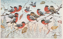 Happy New Year Christmas BIRD Vintage Postcard CPSM #PBM678.GB - Neujahr