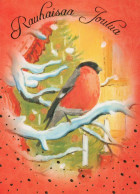Happy New Year Christmas BIRD Vintage Postcard CPSM #PBM613.GB - Nouvel An