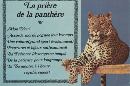 La Priere De La Panthere  . -  Carte Avec Une Pointe D'humour - Autres & Non Classés