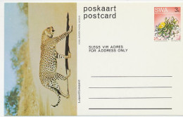 Postal Stationery South West Africa 1973 Leopard - Panther - Autres & Non Classés