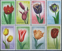 ALBANIA 1971, FLOWERS, TULIPS, COMPLETE USED SERIES With GOOD QUALITY - Albania