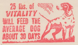 Meter Cut USA 1951 Dog - Altri & Non Classificati