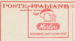 Meter Card Italy 1982 Mushroom - Gnome - Mushrooms