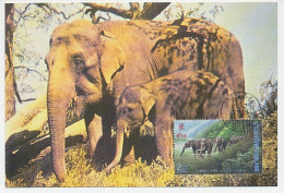 Maximum Card Thailand Elephant - Other & Unclassified