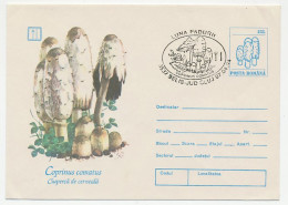 Postal Stationery Romania 1994 Mushroom - Paddestoelen