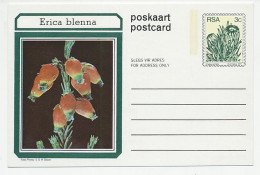 Postal Stationery South Africa 1977 Flower - Plant - Erica - Other & Unclassified