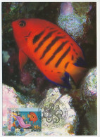 Maximum Card Australia 1995 Fish - Flame Angelfish - Vissen