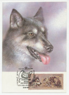 Maximum Card Soviet Union 1988 Dog - Hunting - Sonstige & Ohne Zuordnung