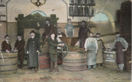 Winzerei Keltern Der Trauben  Gel. 1915 - Vignes