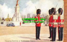 R554094 C. T. Howard. Changing Sentries At Buckingham Palace. Salmon - Mundo