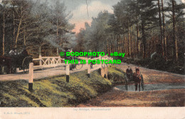 R554394 F. G. O. Stuart 1212. Ivy Bridge. Brockenhurst. 1909 - Mundo