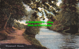 R554401 Sheepwash Woods. Fine Art Post Cards. Shureys Publications - Mundo