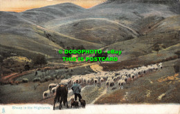 R554405 Sheep In Highlands. Tuck. Animal Life Series 1415 - Mundo