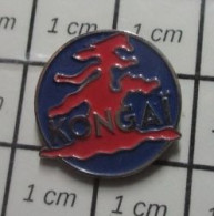 811i  Pin's Pins / Rare Et  Belle Qualité !!! AUTRES / KONGAÏ - Altri & Non Classificati