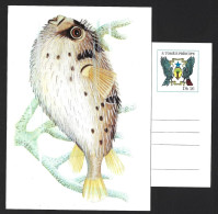 Entire Postcard Of Fish Diodon Hystrix, Urchin Fish From São Tomé And Principe. Coat Of Arms S. Tomé With Falcon Parrot - Poissons