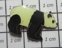 912e Pin's Pins / Beau Et Rare / ANIMAUX / PANDA OURS DE CHINE - Animali